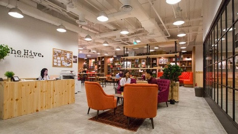 Welcoming the Hive to the Workbuddy Family - Work-Buddy coworking insights