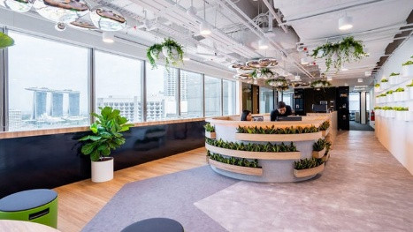 Introducing O2Work — Your new eco-friendly workspace! - Work-Buddy coworking insights